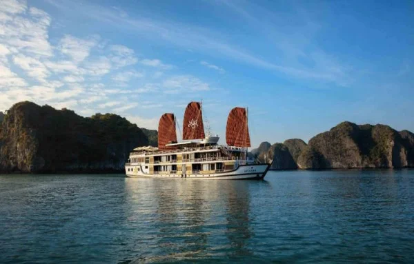 Du Thuyền Orchid Classic