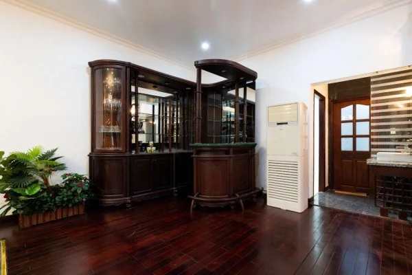 Ảnh Viva SG 10 - 20