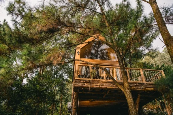 Ảnh Viva Homestay H9