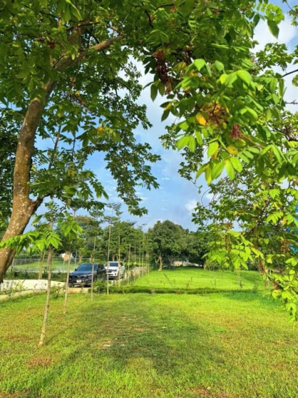 Ảnh -13