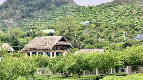 Ảnh Viva Homestay MC 08