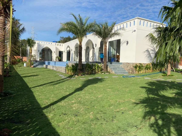 Ảnh Viva PT09 - Morroco