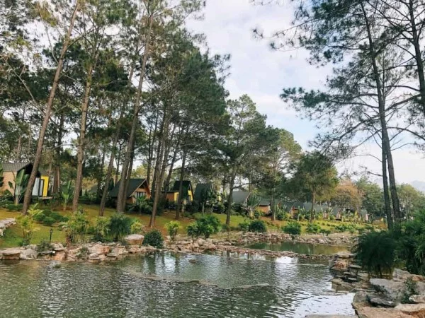 Ảnh Viva MCPhoenix