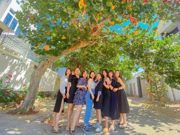 Ảnh Viva VT30 - 13