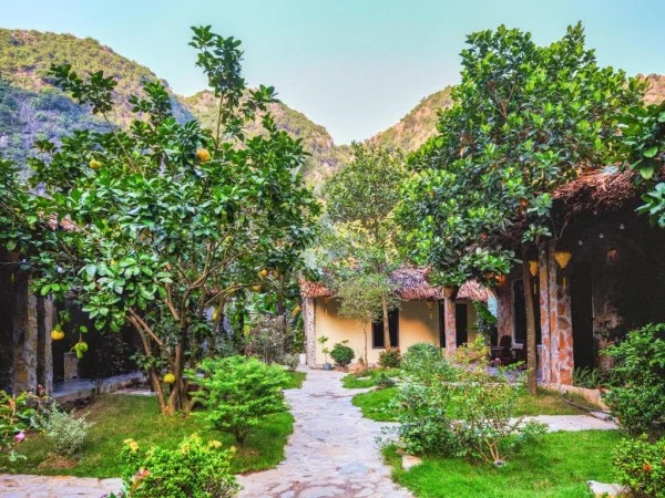 Ảnh Viva Homestay N07 - 12