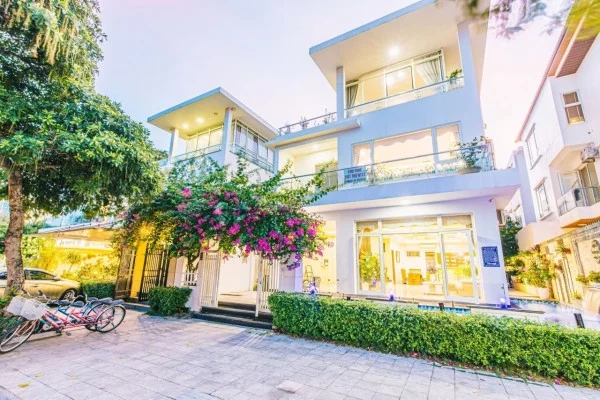 Ảnh Viva NT010 - 9