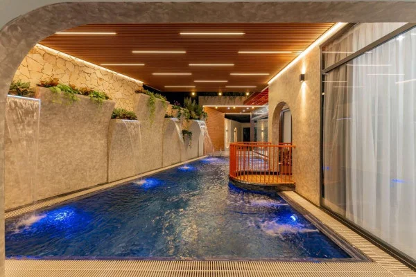 Ảnh Viva VT60 - 19