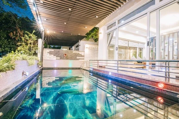 Ảnh Viva NT023 - 1