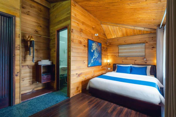 Ảnh Viva ĐL17 - 26