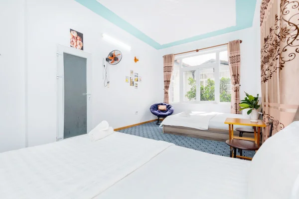 Ảnh Viva VT40 - 25