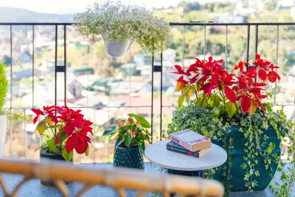 Ảnh Viva ĐL17 - 11