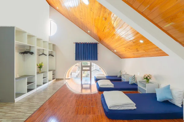 Ảnh Viva ĐL29 - 17