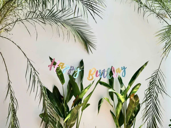 Ảnh Viva VT55 - 12