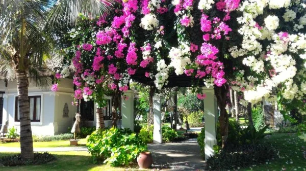 Ảnh Muine bay Resort - 13