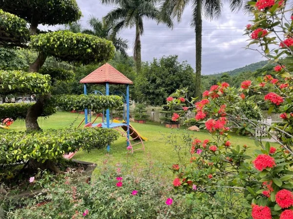 Ảnh Viva HB31 - 15