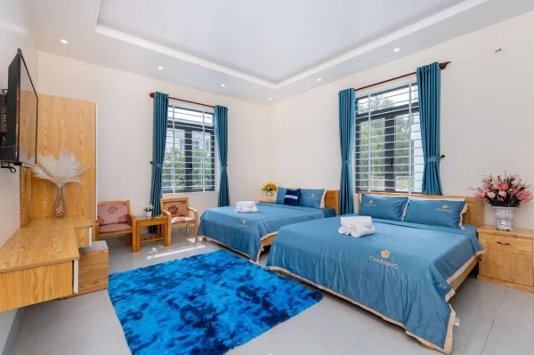 Ảnh Viva VT06 - 36