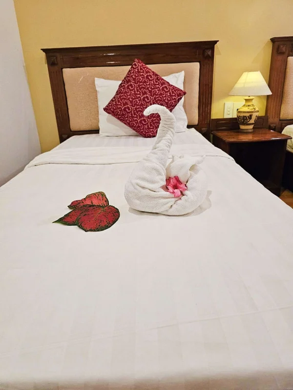 Ảnh Viva PT10 - 10