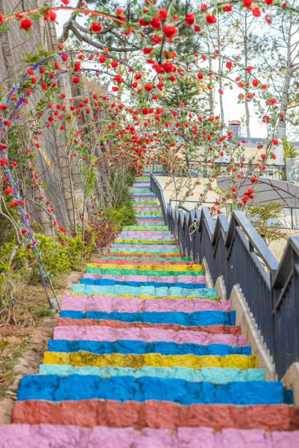 Ảnh Viva ĐL28 - 16