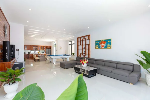 Ảnh Viva VT10 - 21