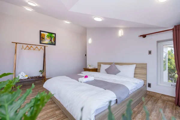 Ảnh Viva ĐL40 - 30