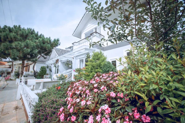 Ảnh Viva ĐL48 - 37