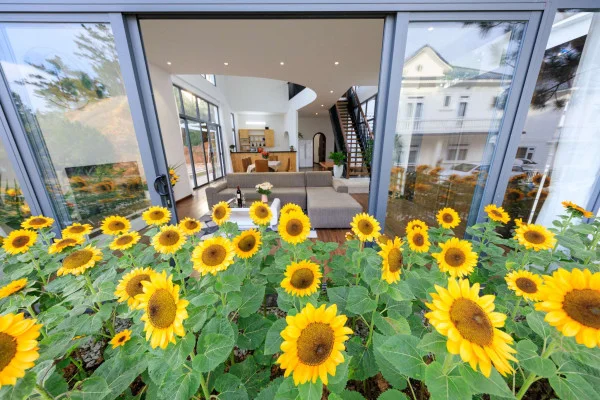 Ảnh Viva ĐL15 - 21