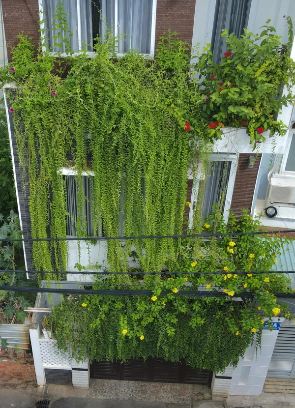 Ảnh 38 Nguyễn Hiền - 9