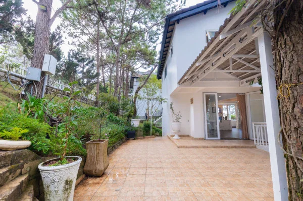 Ảnh Viva ĐL44 - 52