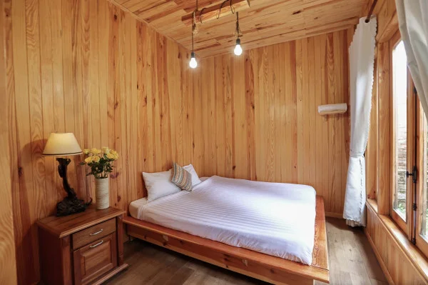 Ảnh Viva ĐL11 - 14