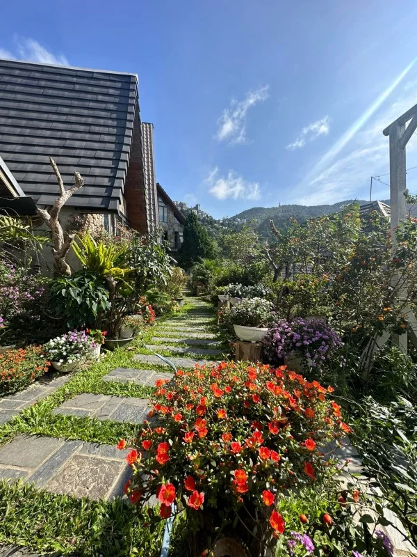 Ảnh Viva Homestay T1