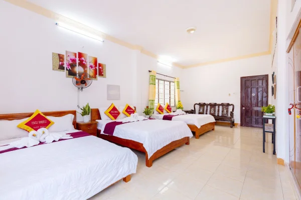 Ảnh Viva VT41 - 28