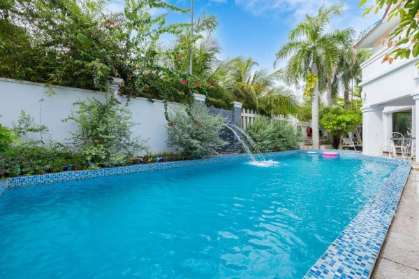 Ảnh Viva VT49 - 50