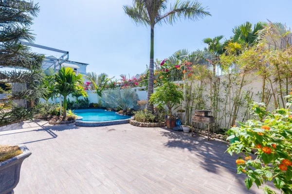 Ảnh Viva VT30 - 18