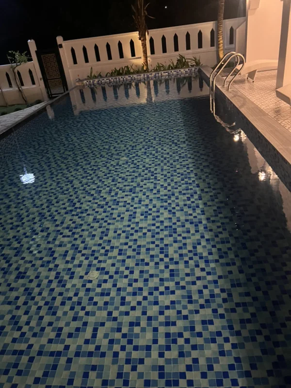 Ảnh Viva PT03 - 31