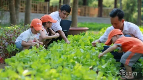 Ảnh Thảo viên resort sơn tây - 16