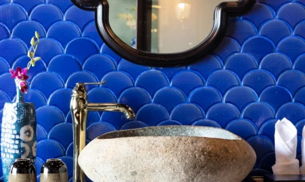 Ảnh Du Thuyền Orchid Premium - 25