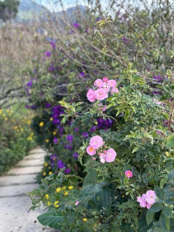 Ảnh Viva Homestay MC 08 - 19