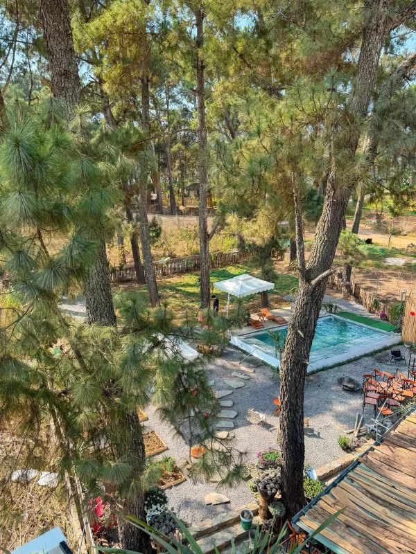 Ảnh Viva MC Healing