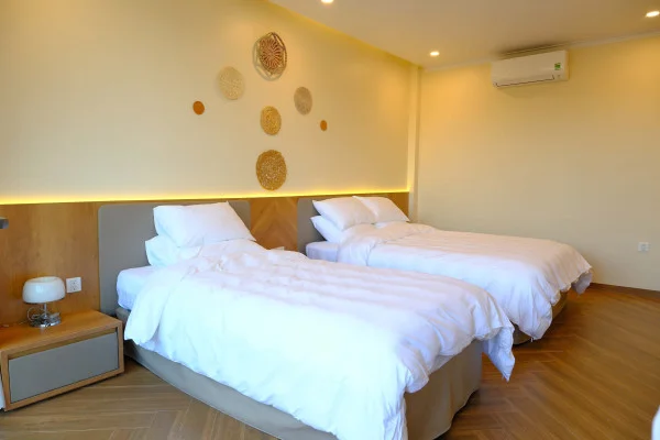 Ảnh Viva PT06 - 45