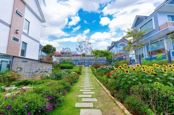 Ảnh Viva ĐL39 - 26