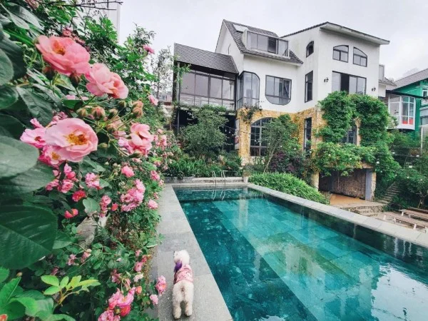 Ảnh Viva Homestay T3