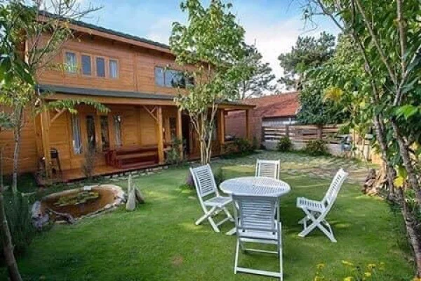 Ảnh Viva ĐL11 - 19