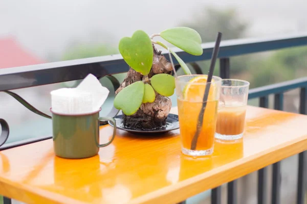 Ảnh Viva TĐ56 - 17