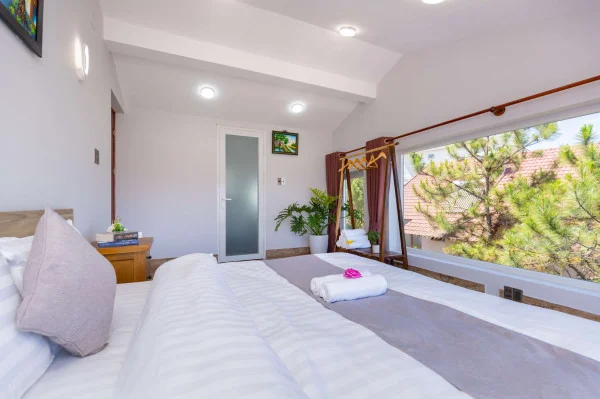 Ảnh Viva ĐL40 - 23