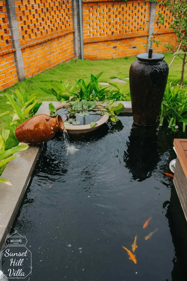 Ảnh Viva PT05 - 21