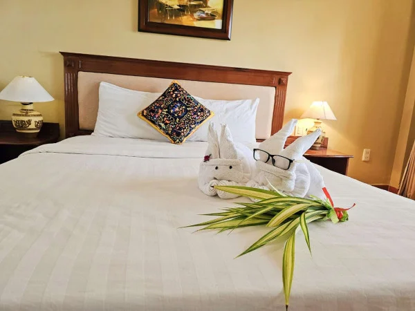 Ảnh Viva PT10 - 15