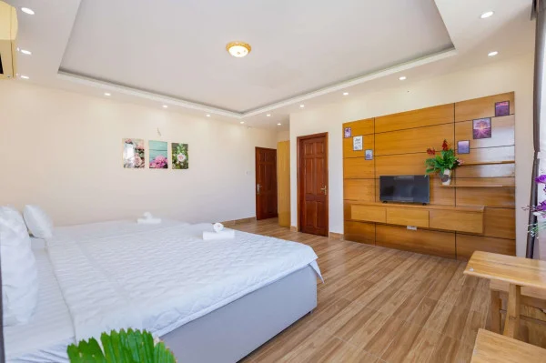 Ảnh Viva VT66 - 48