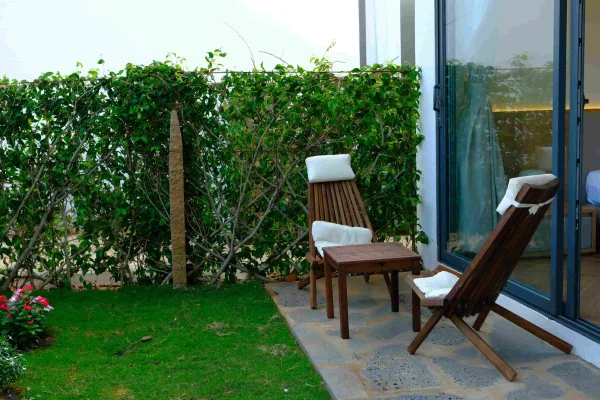 Ảnh Viva PT06 - 43