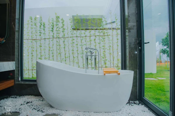 Ảnh Viva PT05 - 46