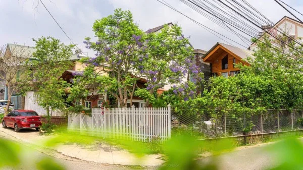 Ảnh Viva Homestay ĐL 08